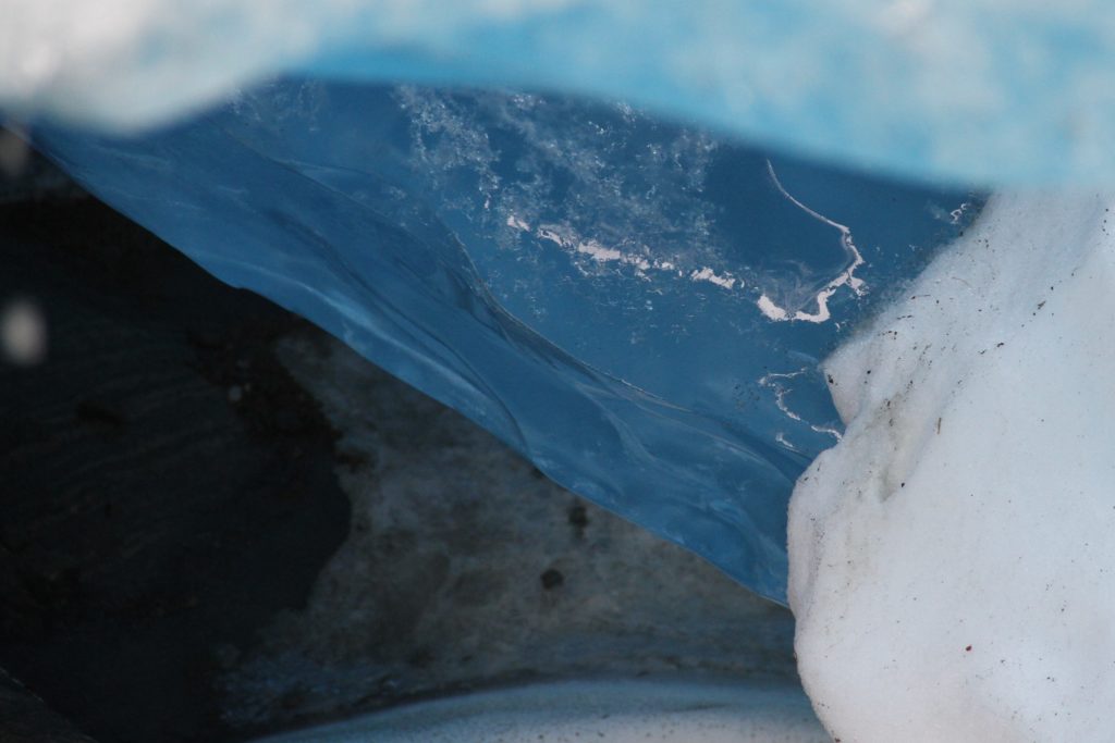 "Svartisen glacier" 2016